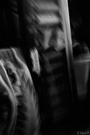 Thibaut photo 