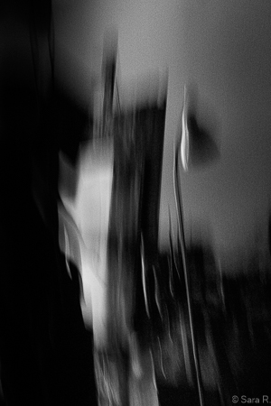 Thibaut photo 