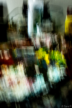 Thibaut photo 