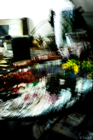 Thibaut photo 