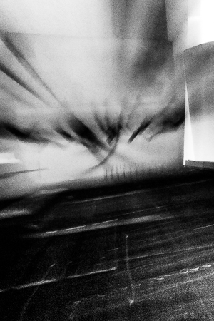 Thibaut photo 