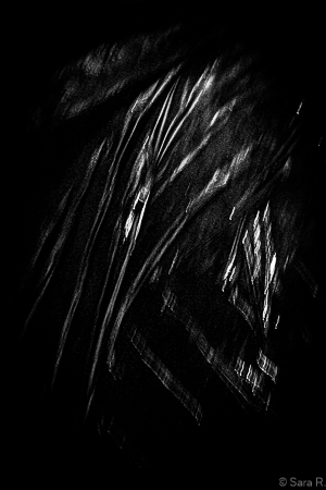 Thibaut photo 