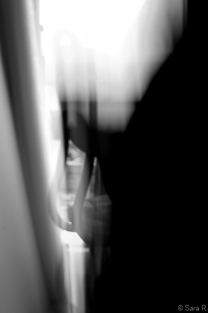 Thibaut photo 