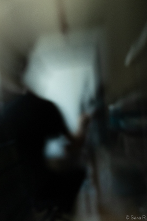 Thibaut photo 