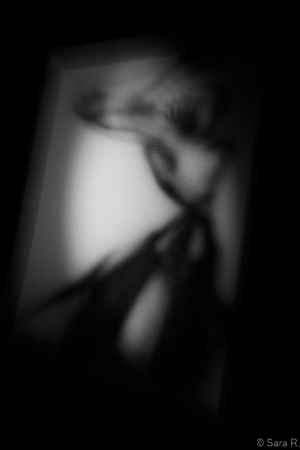 Thibaut photo 